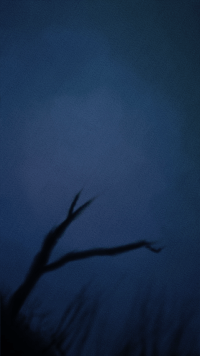 Sixth Extinction game additional wallpaper 5.